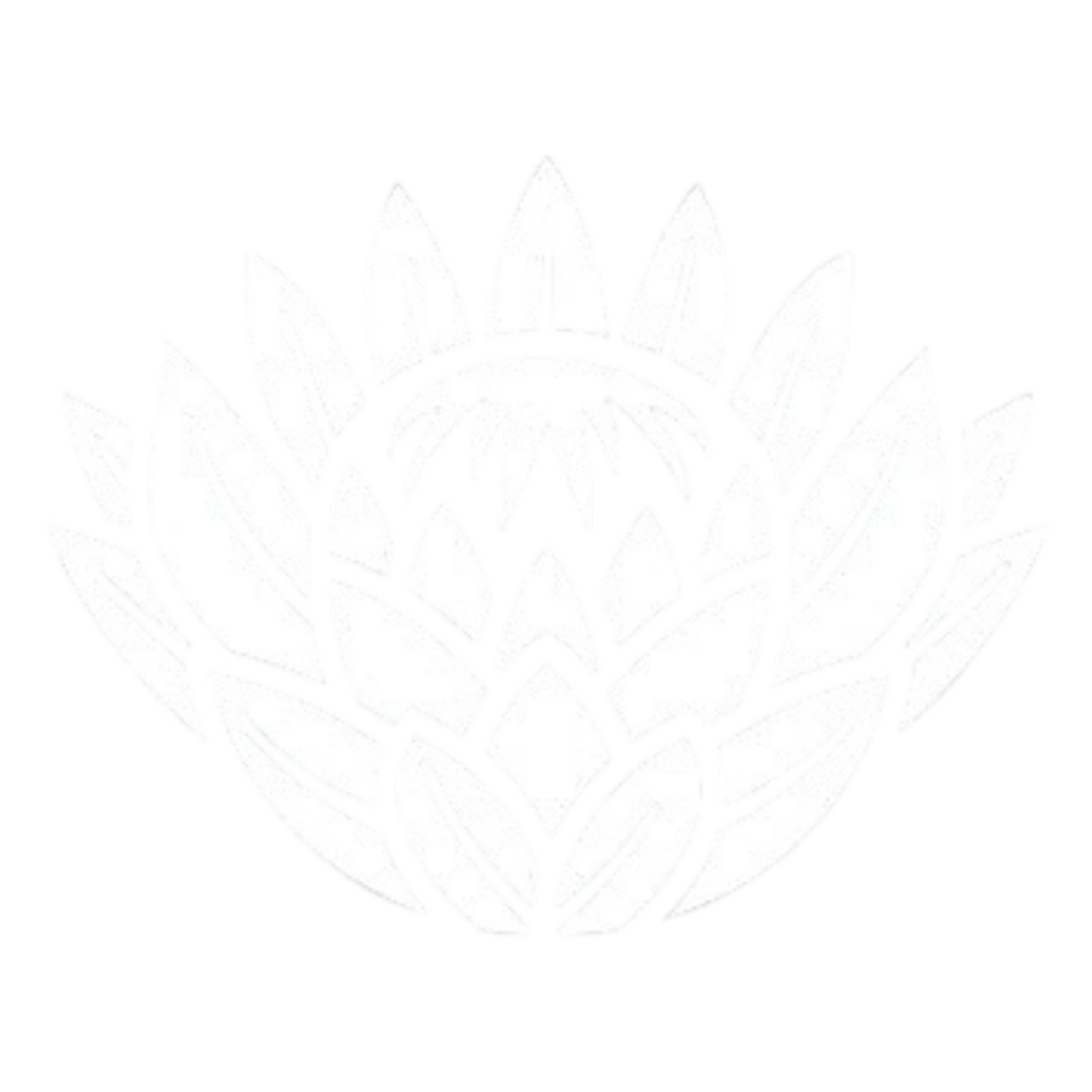 G20
